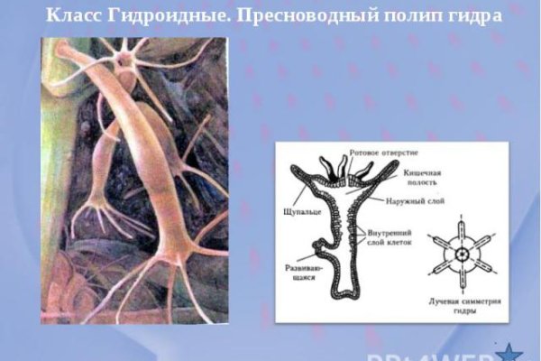 Кракен даркнет официальный сайт