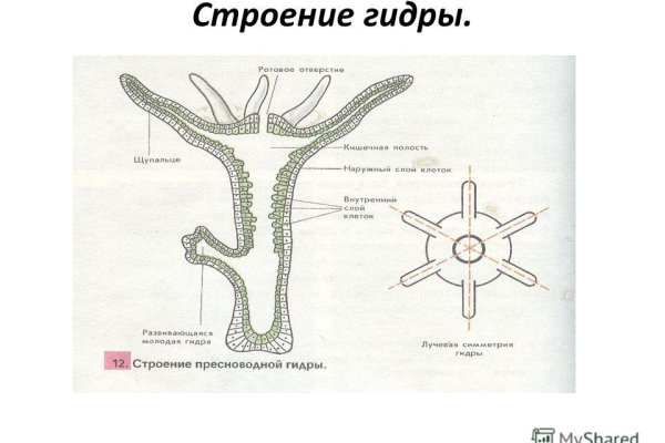 Кракен тор kraken014 com