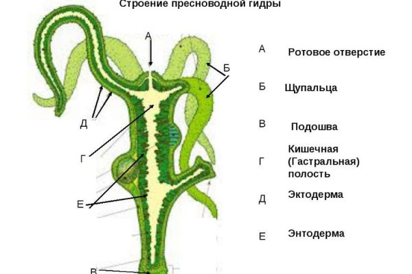 Kraken cc зеркало kr2web in